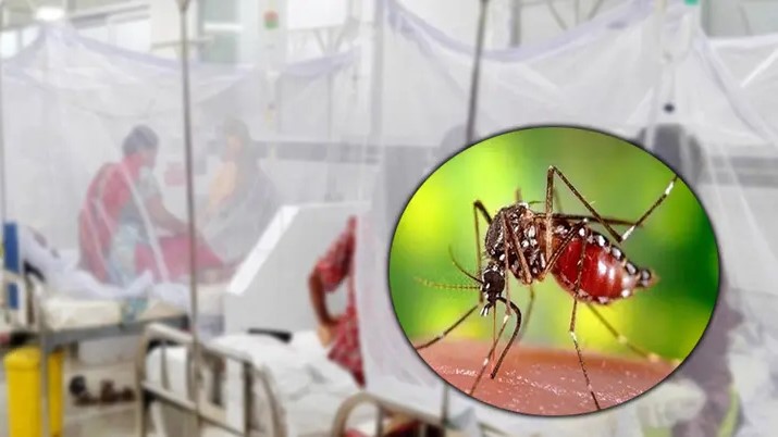 ডেঙ্গুতে একদিনে ৫ মৃত্যু, হাসপাতালে ভর্তি ১১০১